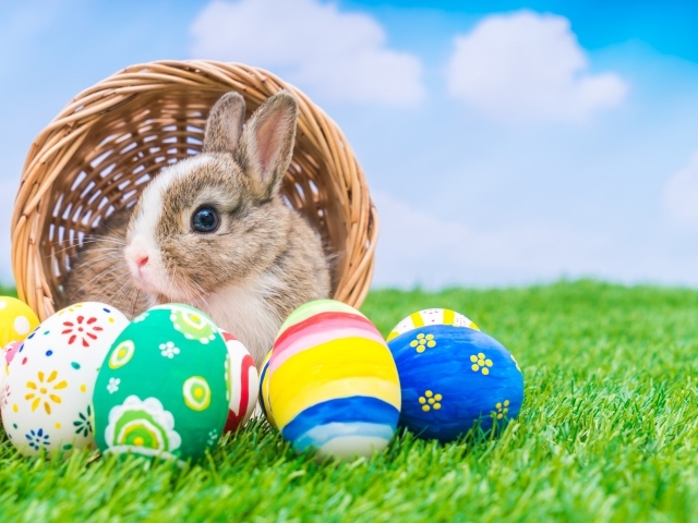 Милый декоративный кролик в корзине с пасхальными яйцами