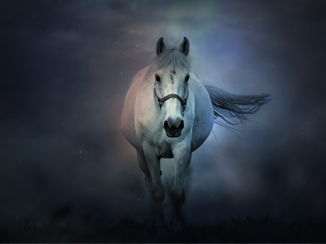 Большая белая лошадь бежит в тумане