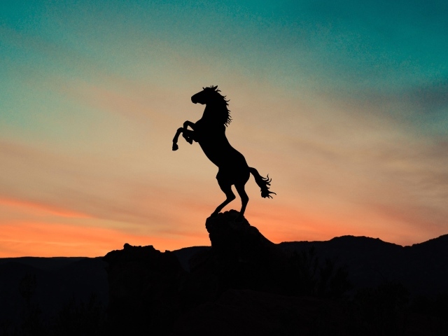 Силуэт коня на вершине горы на закате 