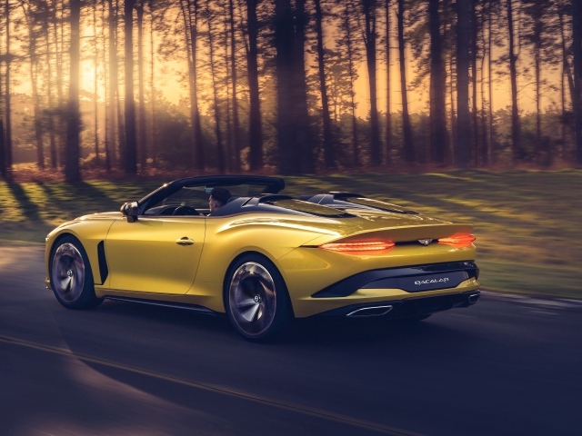 Желтый автомобиль Bentley Mulliner Bacalar 2020 года в лесу 