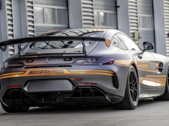 Серебристый автомобиль Mercedes-AMG GT4 2020 года вид сзади