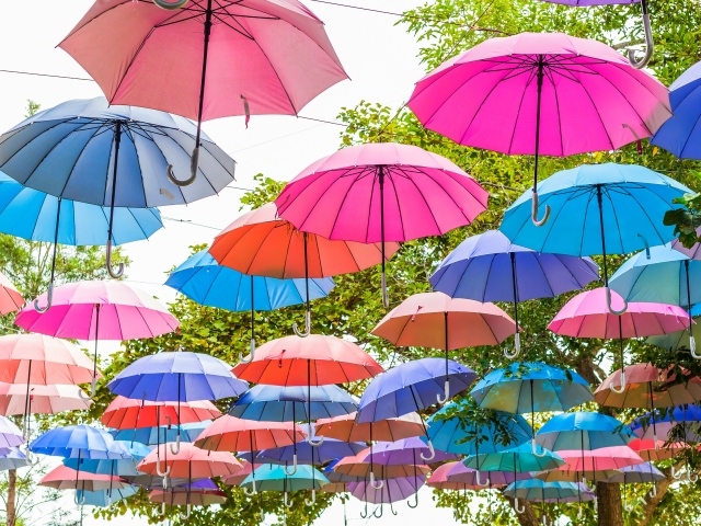 Много разноцветных зонтов в парке 