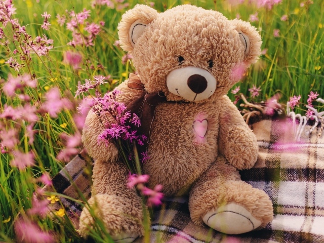 Медвежонок Тедди сидит в зеленой траве 