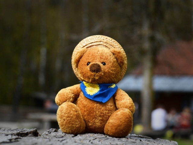 Плюшевый медвежонок в шляпе на земле 