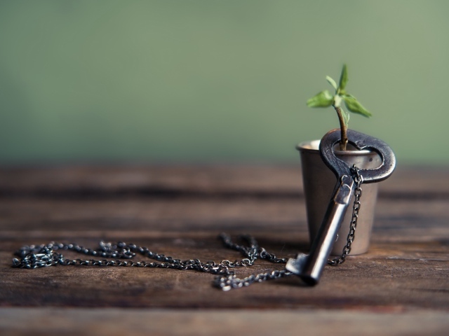 Ключ на цепочке одет на веточку в стакане