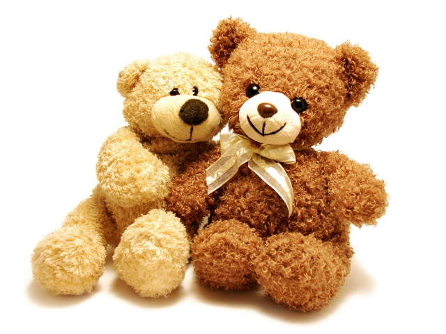 Два медвежонка Тедди на белом фоне