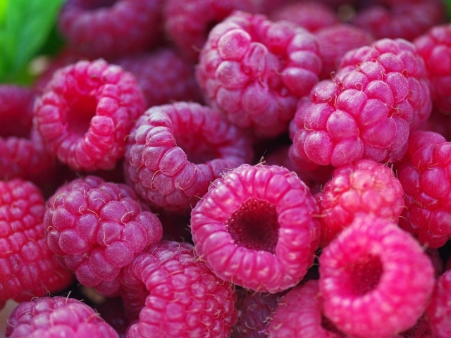 Спелые крупные ягоды малины 