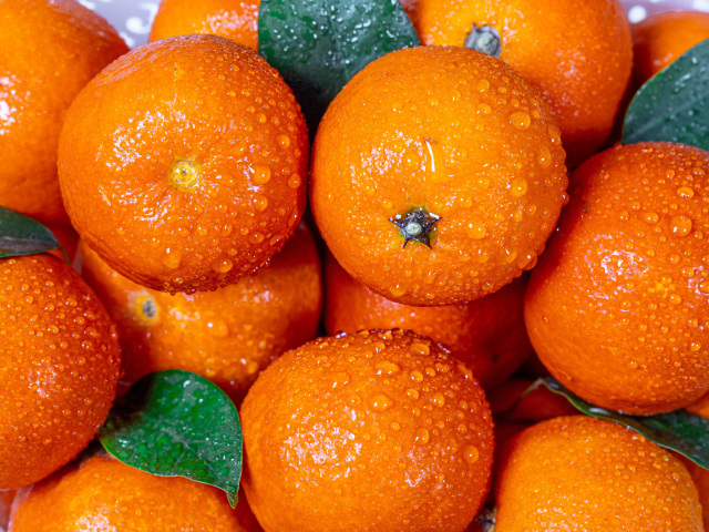 Мандарины в каплях воды крупным планом