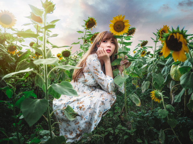 Красивая девушка азиатка на поле с подсолнухами 