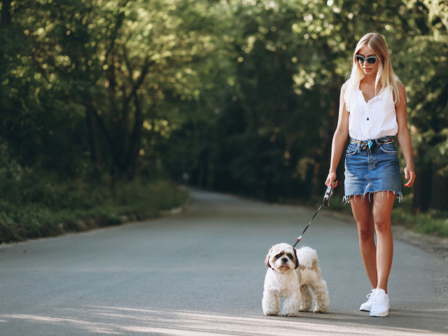 Красивая блондинка идет по дороге с собакой