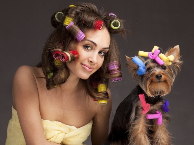 Девушка с бигудями на голове с собакой