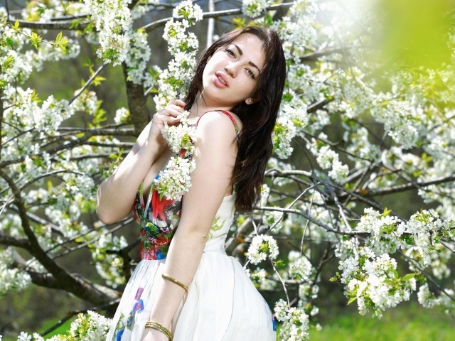 Длинноволосая девушка стоит у цветущей вишни 