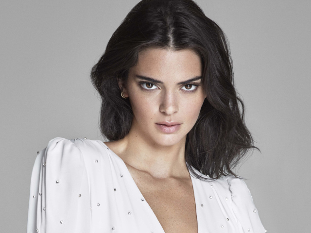 Взгляд брюнетки Кендалл Дженнер на сером фоне