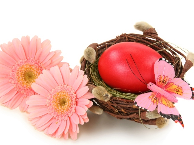 Яйцо в гнезде с розовыми герберами на белом фоне на Пасху