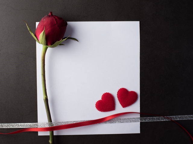 Белый лист бумаги, роза и ленточки на сером фоне