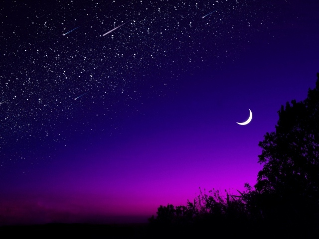 Месяц в звездном ночном небе над лесом