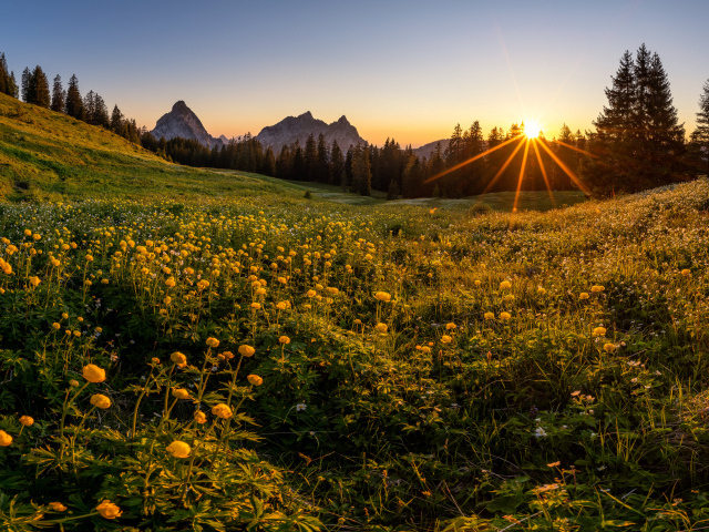 Красивый горный пейзаж солнечным днем