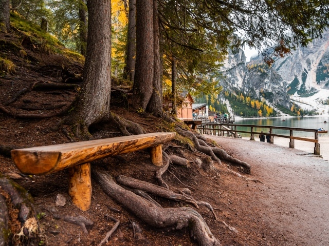 Лавка у деревьев в  парке у озера в горах 