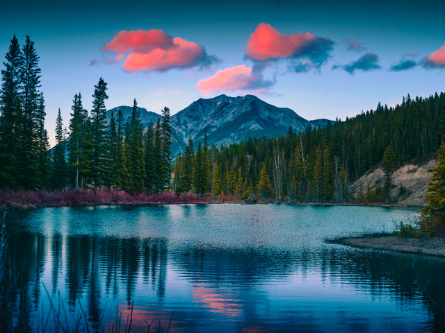 Зеленый лес у озера у подножия гор 