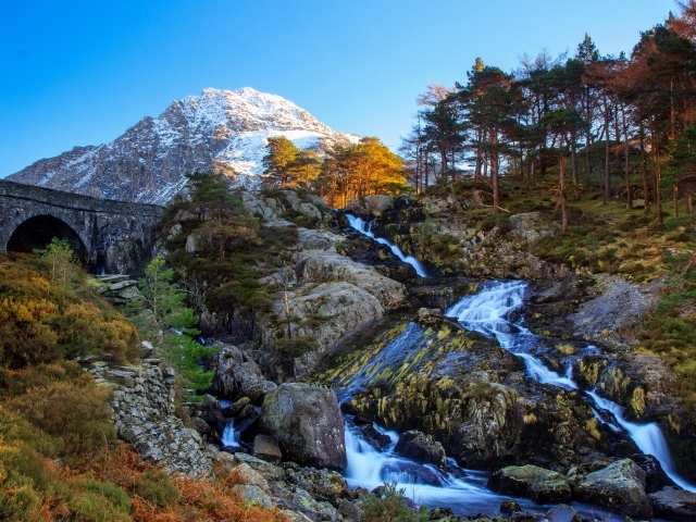 Горный ручей стекает по камням у хвойного леса