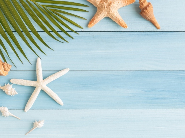 Пальмовый лист на столе с ракушками и морскими звездами 