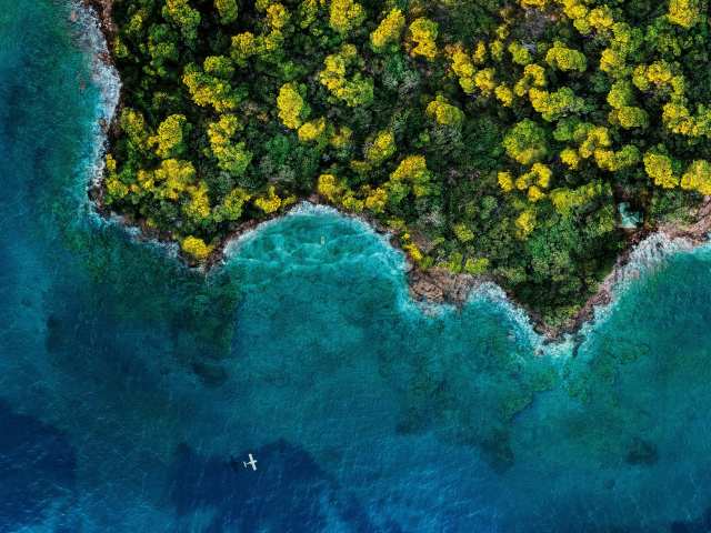 Вид сверху на голубой океан и зеленый лес, Исландия
