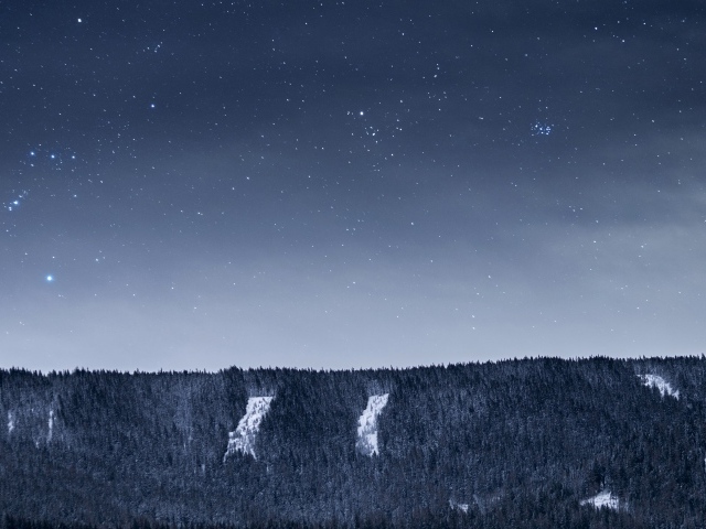 Вид на ночное небо со звездами над лесом