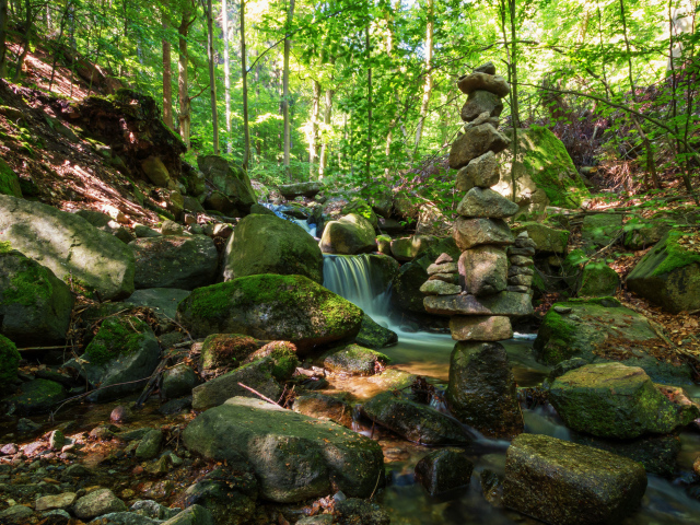 Вода стекает по покрытых мхом камням