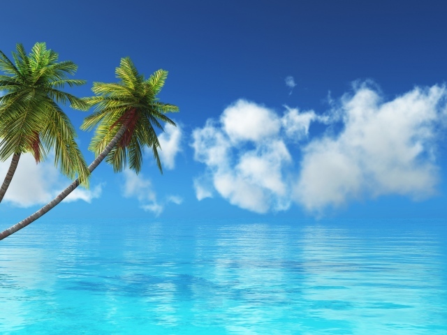 Две пальмы в голубом океане на фоне неба 