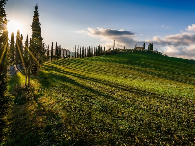 Зеленые поля в лучах солнца летом