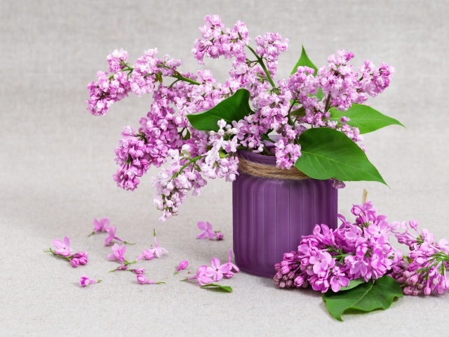 Красивая сирень в вазе на сером фоне