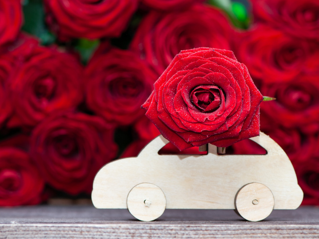 Красивая красная роза с деревянной машинкой 