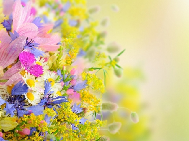 Букет разноцветных ярких летних цветов на размытом фоне