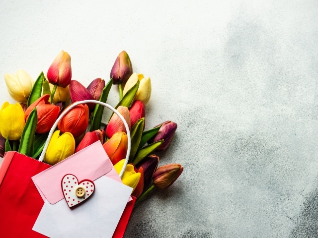 Букет разноцветных тюльпанов с письмом на сером фоне
