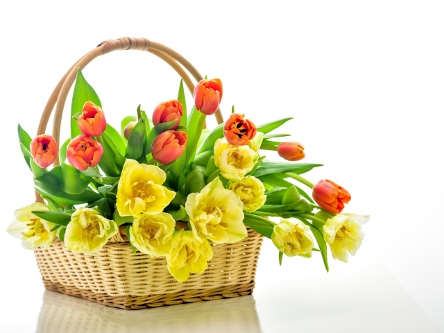 Букет оранжевых и желтых тюльпанов в корзине на белом фоне