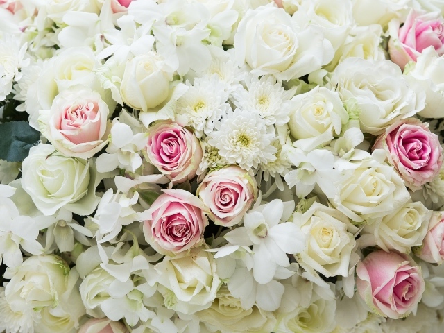 Букет розовых и белых роз с цветами хризантемы