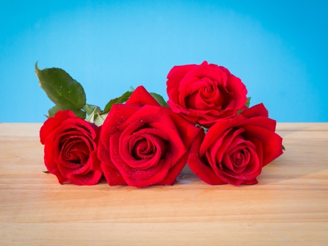 Букет красных роз на голубом фоне 