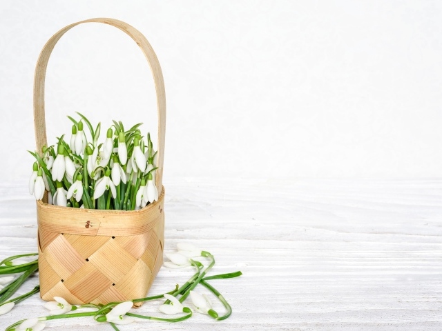 Букет подснежников в корзине на белом столе 