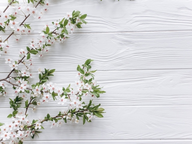 Ветки с белыми цветами вишни на деревянном фоне
