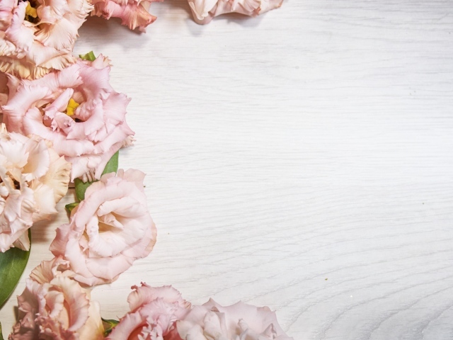 Розовые цветы эустомы на шаблоне для открытки 