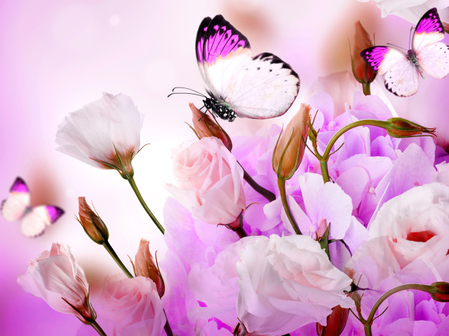 Розовые цветы эустомы с бутонами на фоне с бабочками