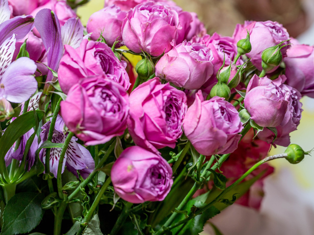 Розовые розы с бутонами в букете с цветами альстромерии