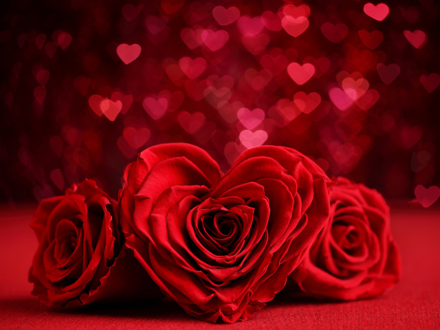 Красная роза в форме сердца на фоне с сердечками