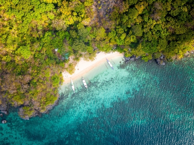 Вид на голубую воду и лес сверху 