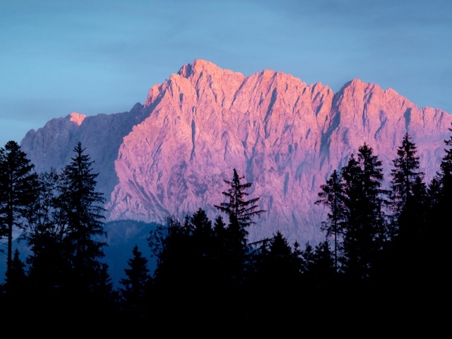 Высокие горы в лучах солнца у хвойного леса 