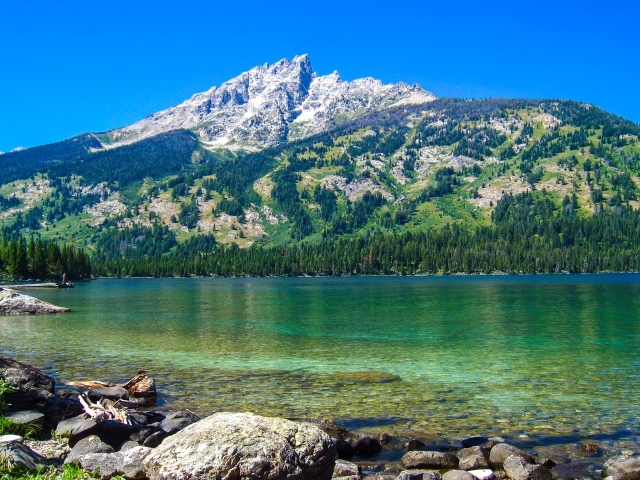 Большая покрытая растительностью  гора у озера