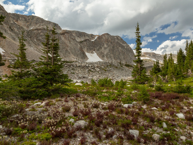 Ели у подножия каменных гор под небом с белыми облаками