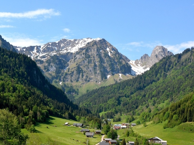 Вид на заснеженные горы и зеленый лес под голубым небом 