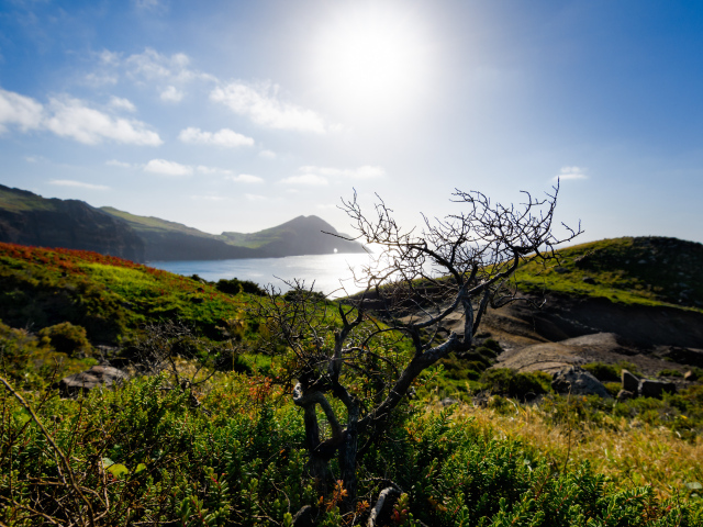 Зеленые утесы у моря на фоне яркого солнца