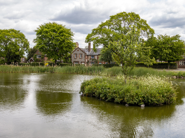 Улица с прудом и зеленой растительностью 